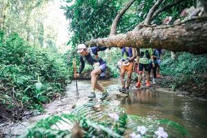 BIB: 
                            <button type="button" onclick="openModal(25469504)" class="btn btn-primary btn-sm float-right btn-popup" data-toggle="modal" data-target=".modal-high-quality">
                        <i class="fas fa-shopping-cart"></i> Add to Cart
                    </button>
                                            <button type="button" onclick="isThisMe(25469504, true)" class="btn btn-success btn-sm float-right btn-popup btn-isme hidden" data-toggle="tooltip" data-placement="bottom" title="นี่คือรูปของคุณใช่ไหม คลิกที่นี่เพื่อเอาเข้าอัลบั้ม">
                        <i class="fas fa-plus"></i> Add to album
                    </button>
                    <button type="button" onclick="isThisMe(25469504, false)" class="btn btn-warning btn-sm float-right btn-popup btn-isnotme hidden">
                        <i class="fas fa-ban"></i> Remove from album
                    </button>